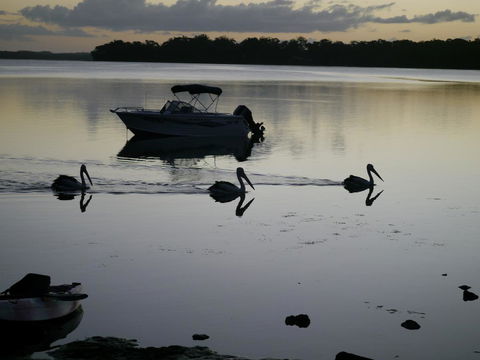 Dungowan Holiday Accommodation - Holiday Byron Bay 41