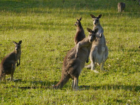 Dungowan Holiday Accommodation - Holiday Byron Bay 27