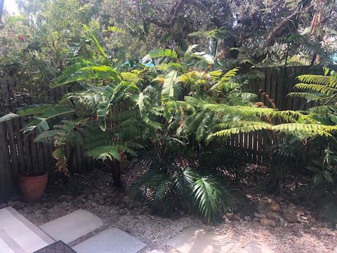 East On Byron - Holiday Byron Bay 40