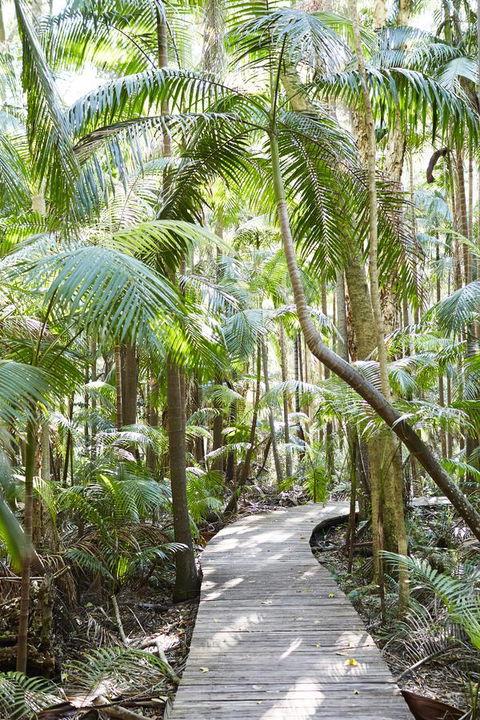 Crystalbrook Byron - Holiday Byron Bay 26