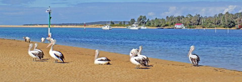 Pelican Motor Inn - Holiday Byron Bay 29