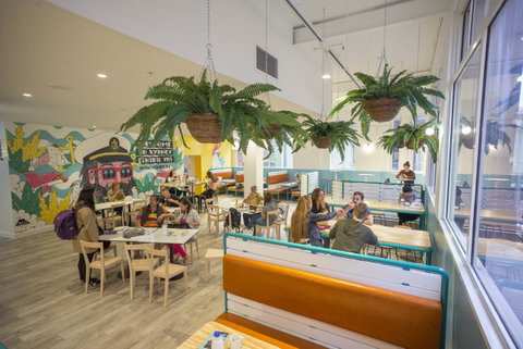 YHA Sydney Central - Holiday Byron Bay 4