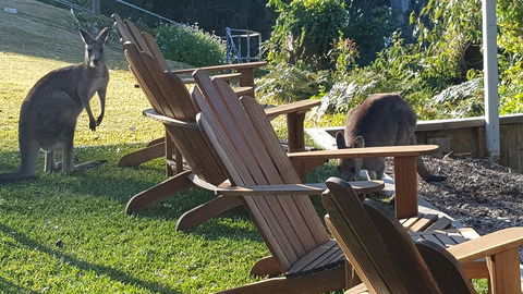 The Edgewater On Greville - Holiday Byron Bay 18