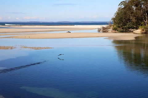 Jervis Bay Beach Shack I Pet Friendly - Holiday Byron Bay 19