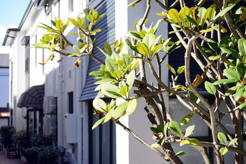 Avoca Randwick By Sydney Lodges - Holiday Byron Bay 34