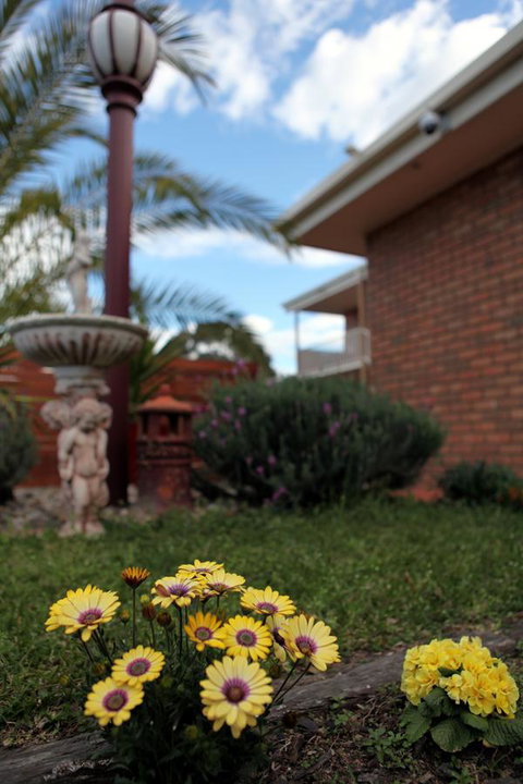 Summerhill Motor Inn - Holiday Byron Bay 28
