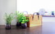 Vibrant Inner-city Living - Darling Harbour Fringe - thumb 11