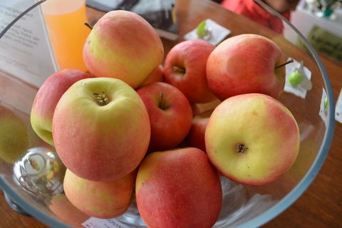 The Apple Inn - Holiday Byron Bay 12