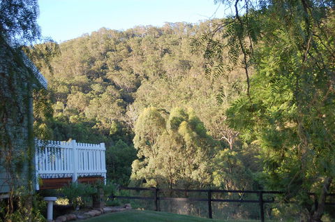 Cadair Cottages - Holiday Byron Bay 16