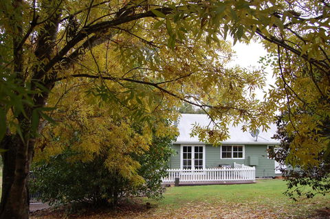 Cadair Cottages - Holiday Byron Bay 18