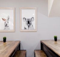 Mad Monkey Backpackers on Broadway - Holiday Byron Bay