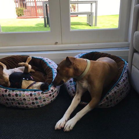 The Ultimo - Holiday Byron Bay 5