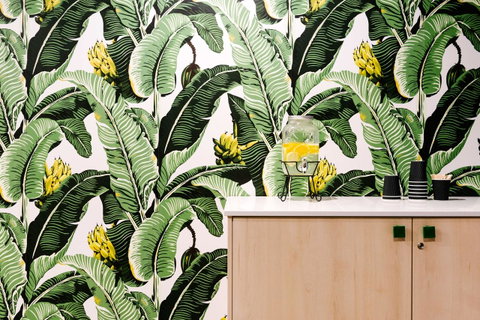 Veriu Randwick - Holiday Byron Bay 12