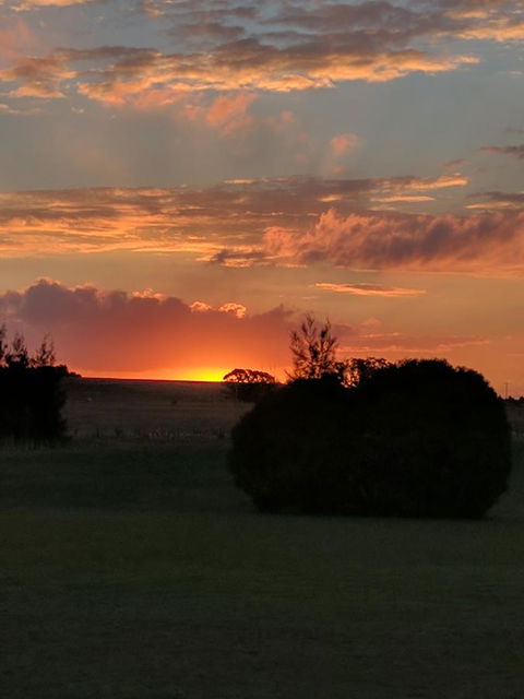 Madigan Wine Country Cottages - Holiday Byron Bay 13