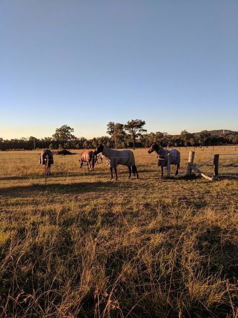 Madigan Wine Country Cottages - Holiday Byron Bay 8