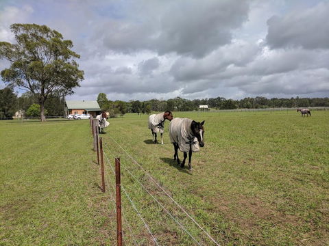 Madigan Wine Country Cottages - Holiday Byron Bay 9