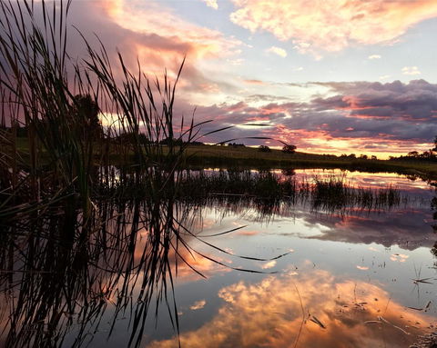 Madigan Wine Country Cottages - Holiday Byron Bay 16