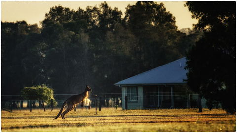 Madigan Wine Country Cottages - Holiday Byron Bay 5