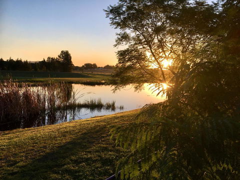 Madigan Wine Country Cottages - Holiday Byron Bay 17