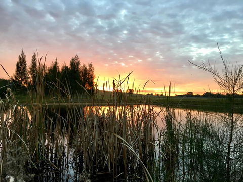 Madigan Wine Country Cottages - Holiday Byron Bay 14