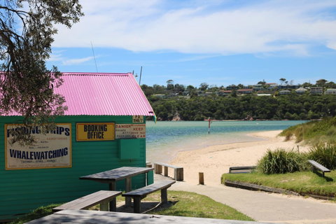Beaches Apartments Merimbula - Holiday Byron Bay 12