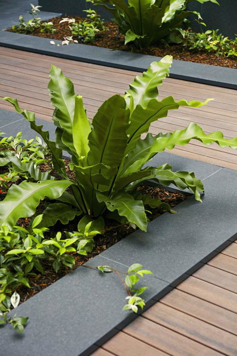Veriu Camperdown - Holiday Byron Bay 22