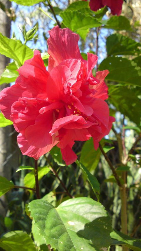 Darwin Beach Escape Holiday Home - Holiday Byron Bay 24