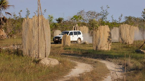 Darwin Beach Escape Holiday Home - Holiday Byron Bay 40