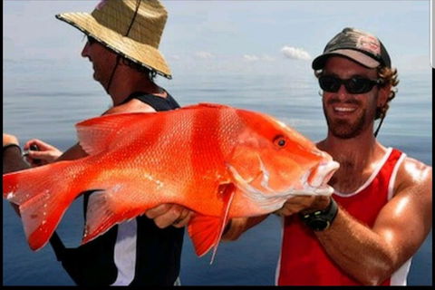 Darwin Beach Escape Holiday Home - Holiday Byron Bay 39