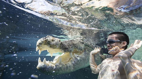 Darwin Beach Escape Holiday Home - Holiday Byron Bay 33