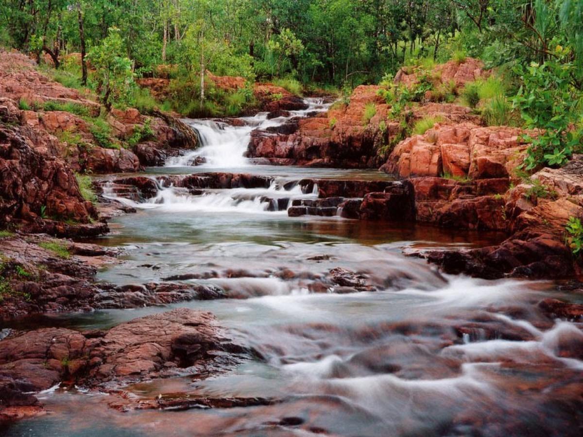 Tiwi NT Holiday Byron Bay