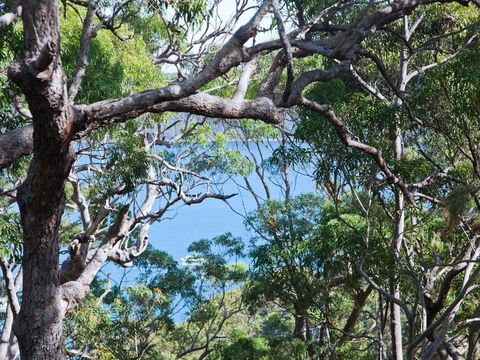 Bynya - 100m To Jonahs! - Holiday Byron Bay 1
