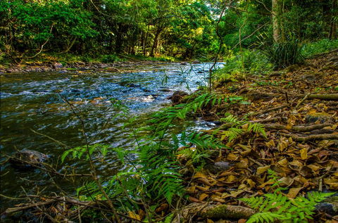 Cairns Homestead: A Peaceful Getaway - Holiday Byron Bay 3