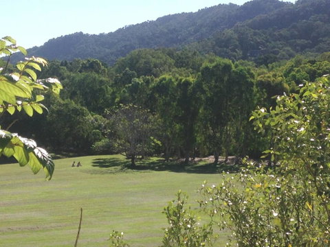 Cairns Rainforest View Resort Apartment - Holiday Byron Bay 2