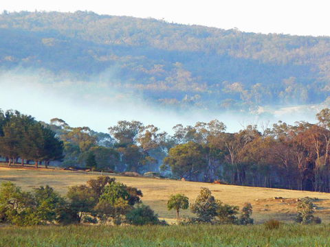 Candlebark Retreat - Holiday Byron Bay 0