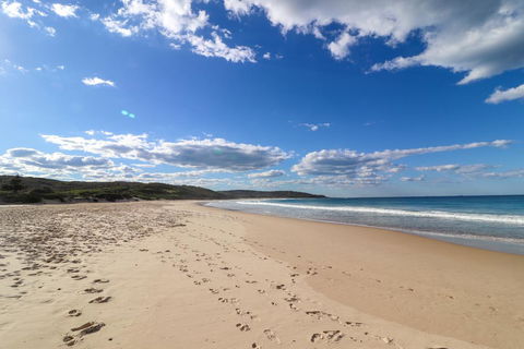 Catho Cottage - Holiday Byron Bay 2