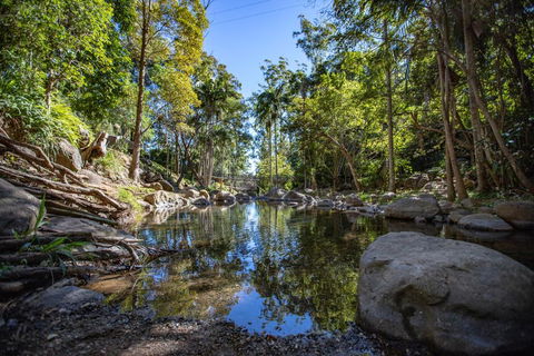Cedar Creek Lodges - Holiday Byron Bay 0