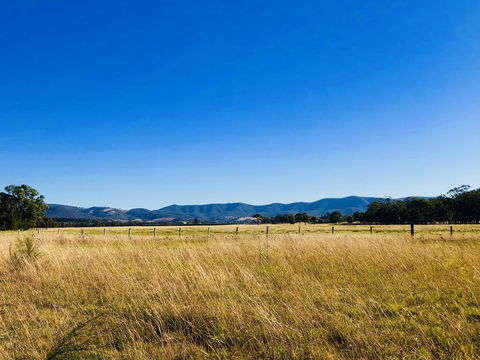 Charlotte Tiny House - Holiday Byron Bay 2