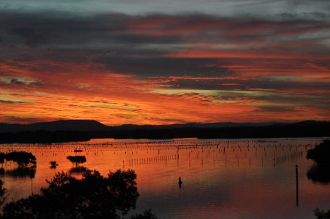 CHILL-OUT LAKESIDE @ FORSTER - Holiday Byron Bay 3