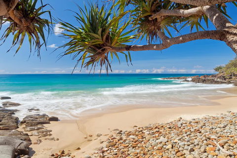 Coolum Classic Beach Shack - Pet Friendly - Holiday Byron Bay 0