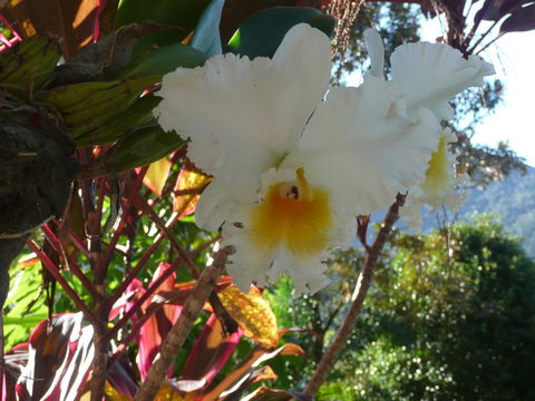 Coral Sea Views - Holiday Byron Bay 2