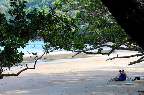 Cow Bay Homestay B&B - Holiday Byron Bay 1