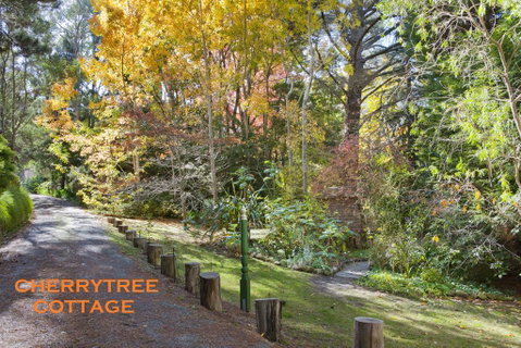 Crafers Cottages - Holiday Byron Bay 1