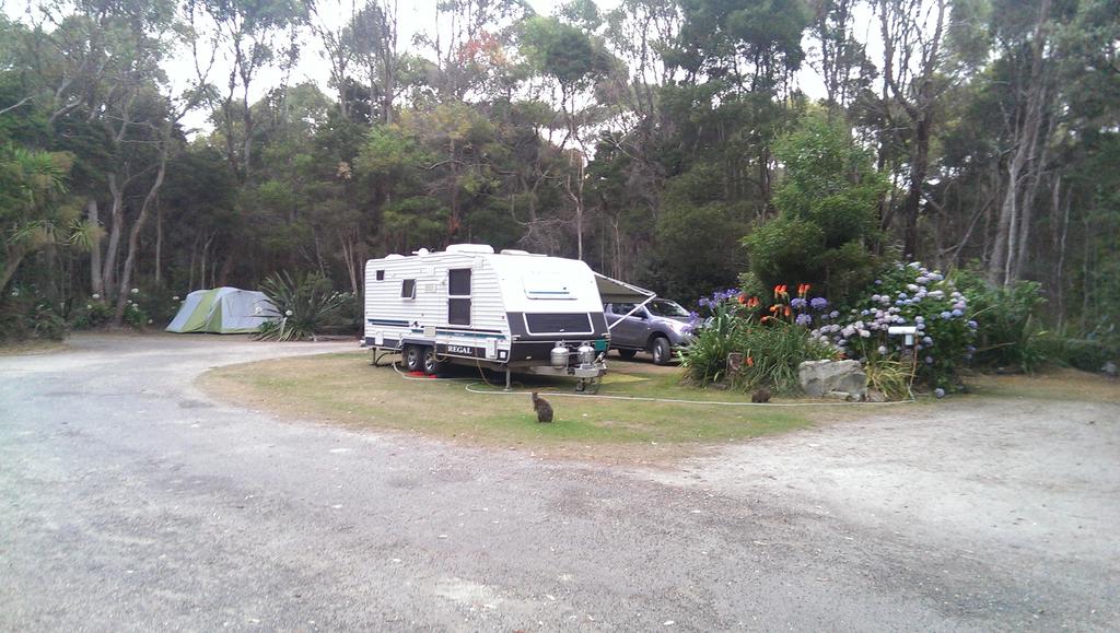 Crayfish Creek TAS Holiday Byron Bay