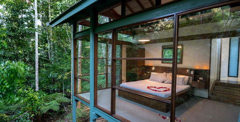 Crystal Creek Rainforest Retreat - Holiday Byron Bay 3