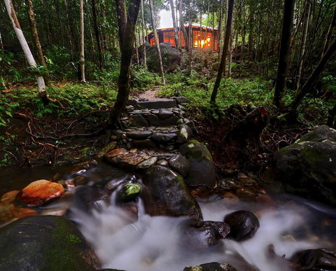 Daintree Cascades - Holiday Byron Bay 0
