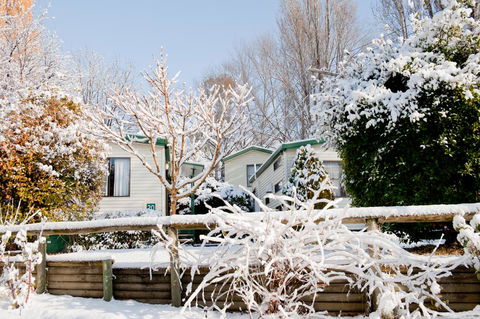Discovery Parks - Jindabyne - Holiday Byron Bay 1
