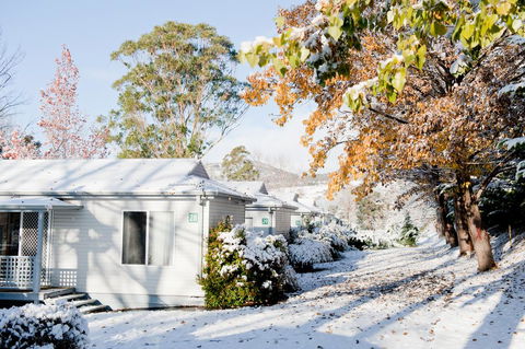 Discovery Parks - Jindabyne - Holiday Byron Bay 0