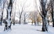 Discovery Parks - Jindabyne - thumb 3