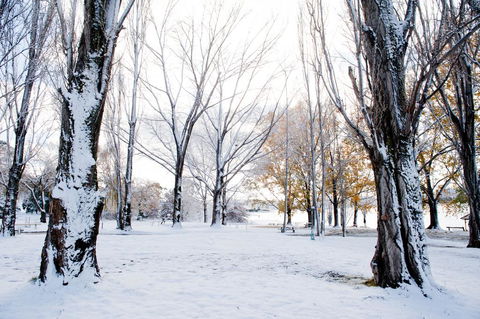 Discovery Parks - Jindabyne - Holiday Byron Bay 3